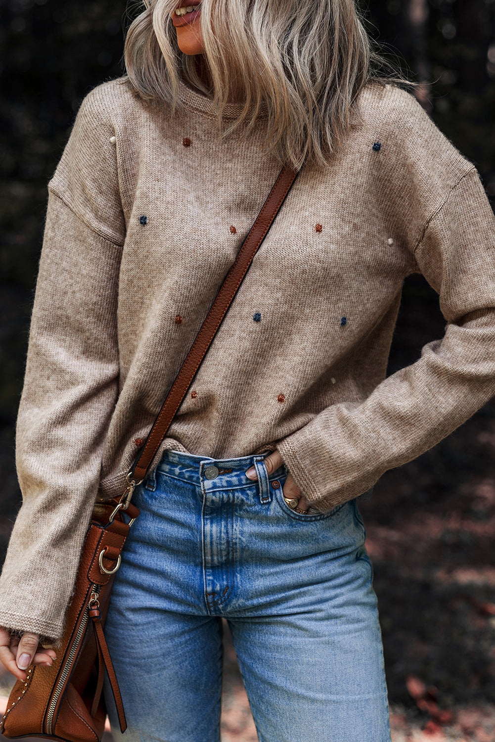 Oatmeal Embroidered Dot Knit Sweater